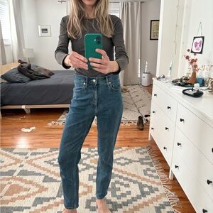 Everlane Original Cheeky 27